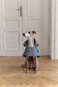 Water-repellent Dog Trench Coat - Light Blue
