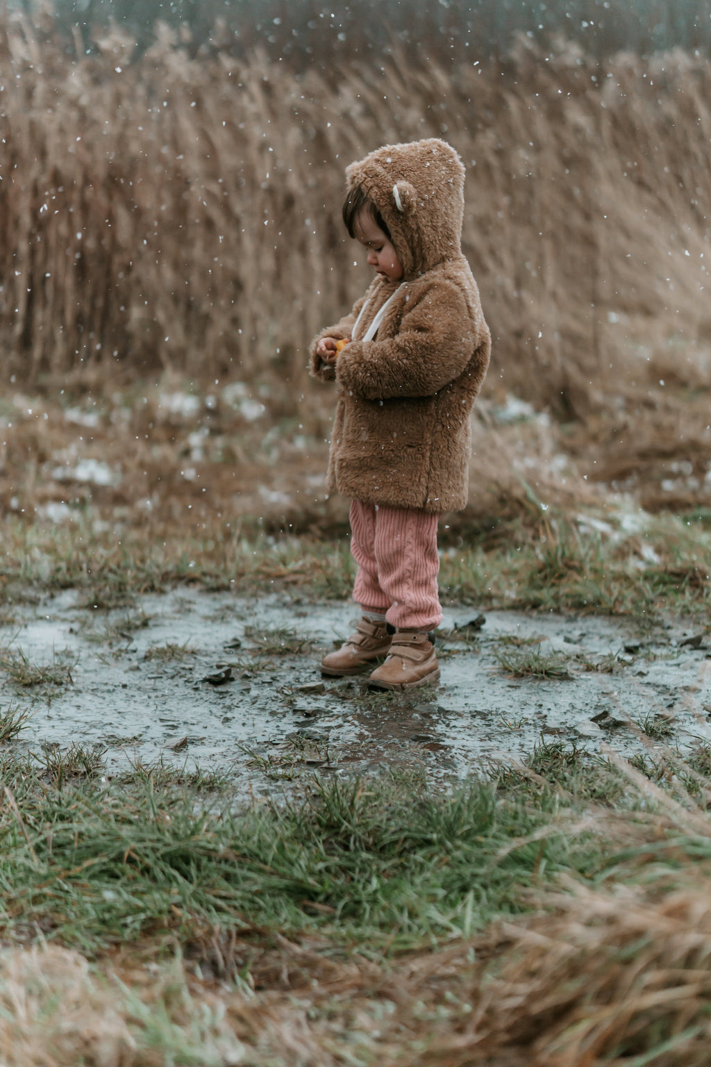 Baby/Kid Virgin Wool Jacket - Brown