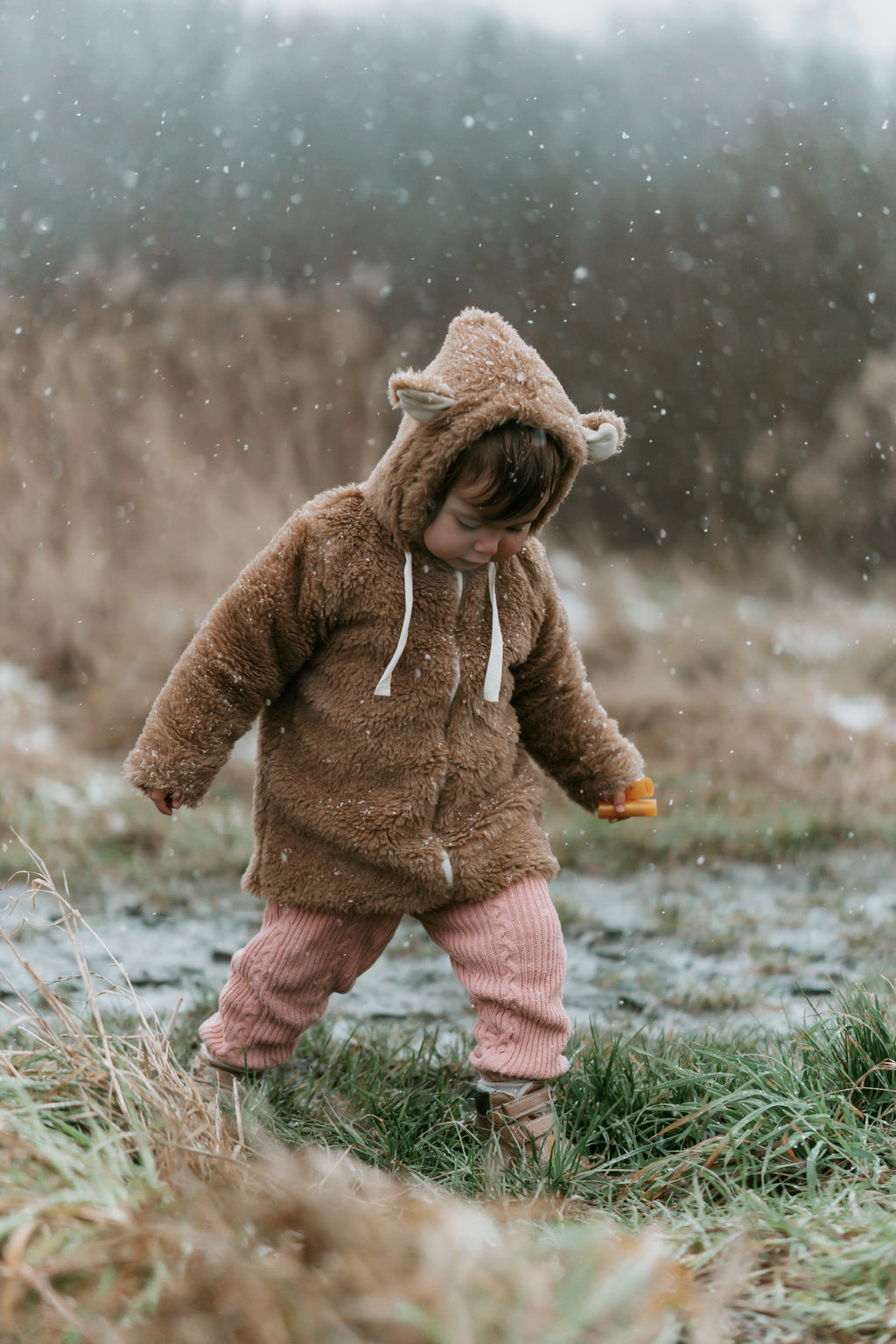 Baby/Kid Virgin Wool Jacket - Brown