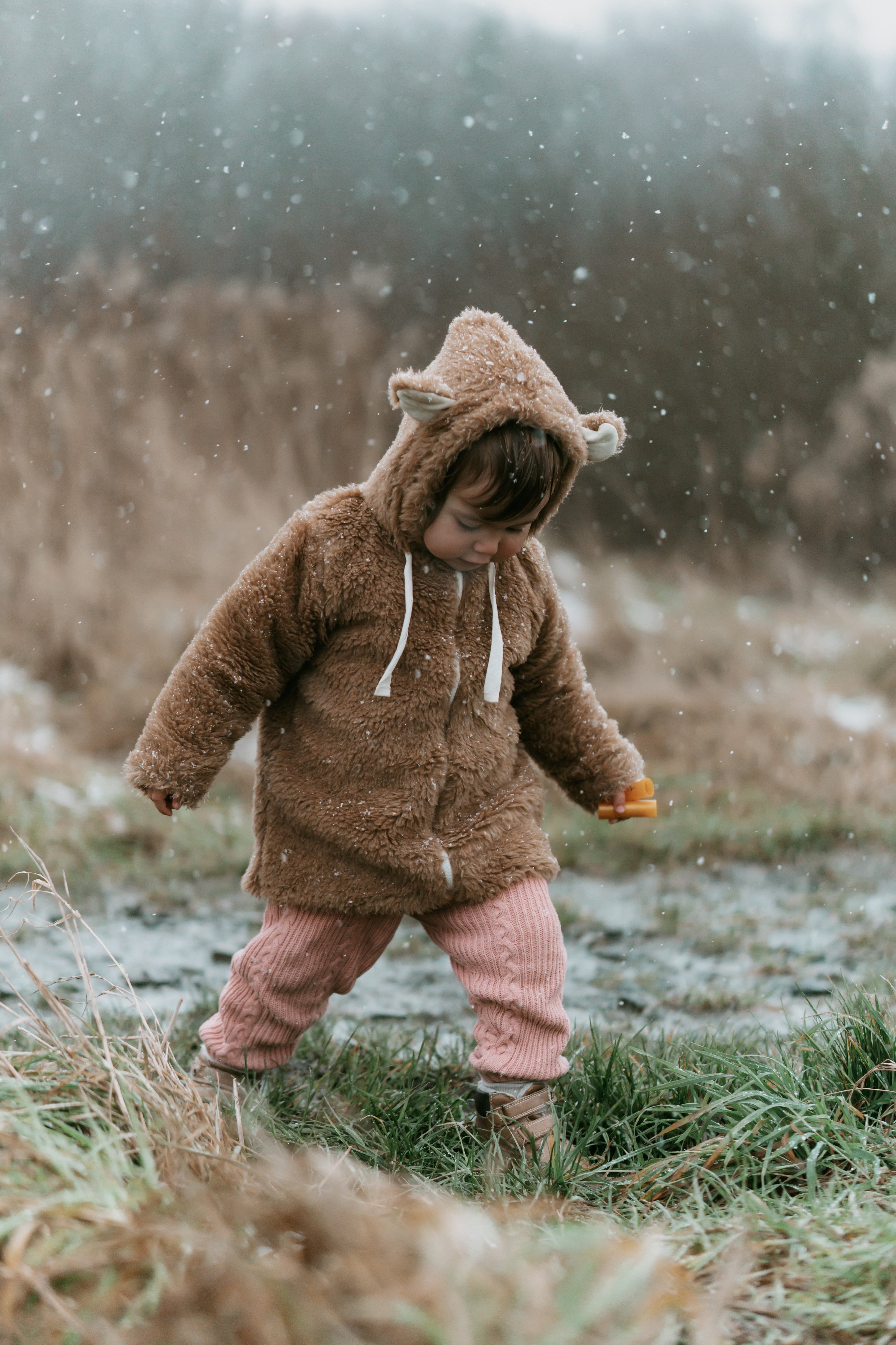 Baby/Kid Virgin Wool Jacket - Brown