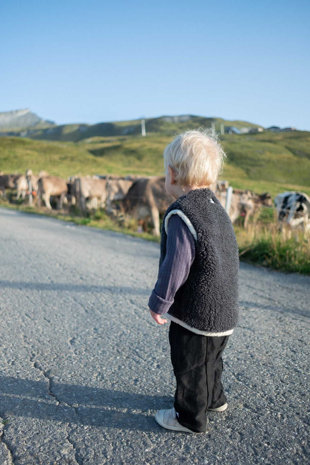 Baby/Kid Virgin Wool Vest - Charcoal