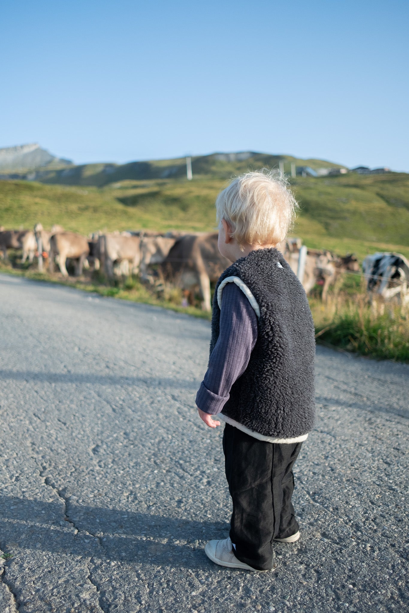 Baby/Kid Virgin Wool Vest - Charcoal