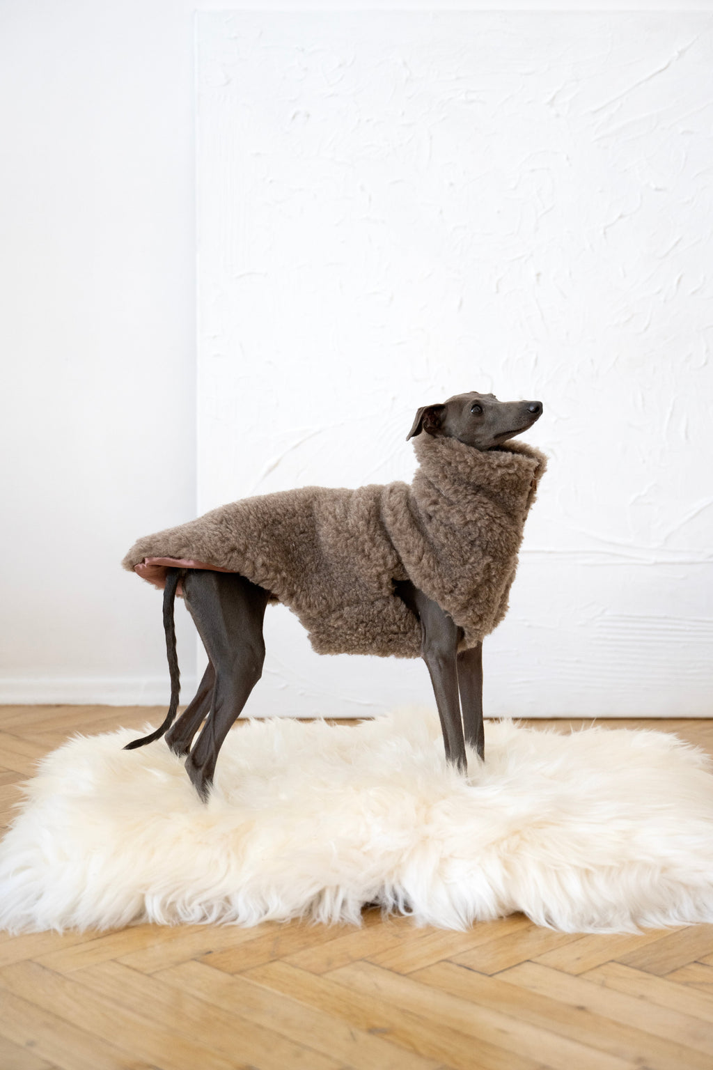 Bestseller: Woolen Dog Vest - Beige