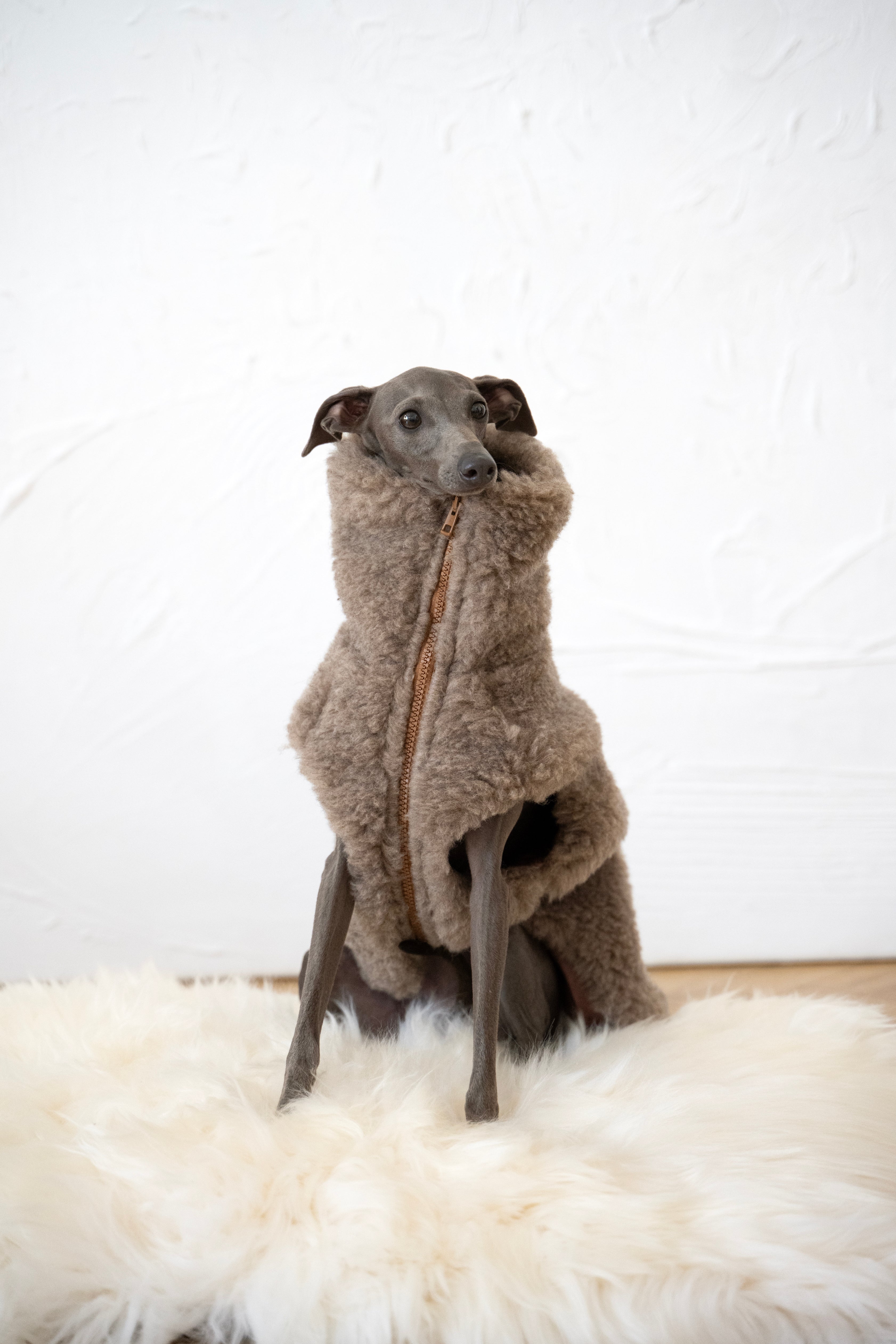 Bestseller: Woolen Dog Vest - Beige