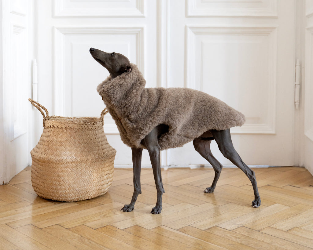 Bestseller: Woolen Dog Vest - Beige