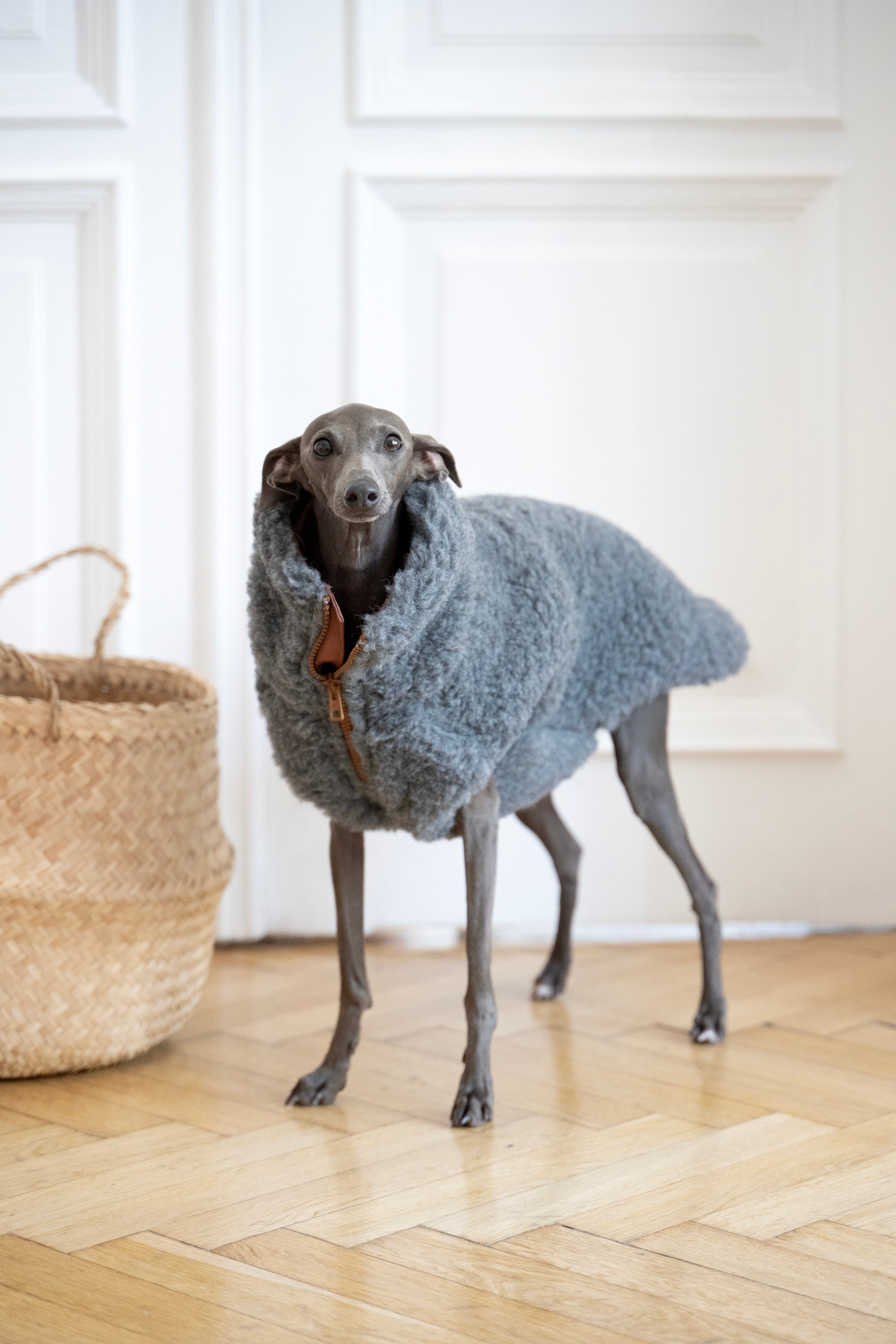 Woolen Dog Vest - Dark Grey